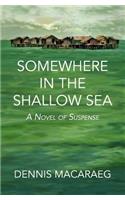 Somewhere in the Shallow Sea
