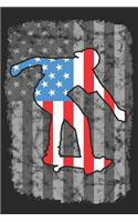 Journal: Blank Lined Paper Diary Notebook American Flag Skateboarding Design