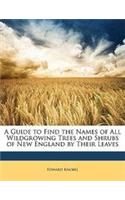A Guide to Find the Names of All Wildgrowing Trees and Shrubs of New England by Their Leaves