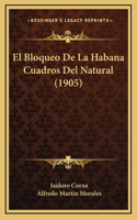 El Bloqueo De La Habana Cuadros Del Natural (1905)