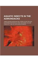 Aquatic Insects in the Adirondacks