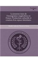 La Jeunesse Issue de L'Immigration Maghrebine En France: Production Culturelle Et Creation D'Un Espace Identitaire
