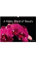 Hidden World of Beauty 2018