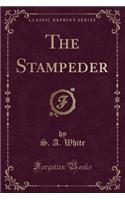 The Stampeder (Classic Reprint)