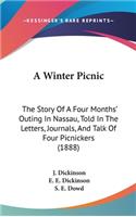 A Winter Picnic