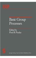 Basic Group Processes