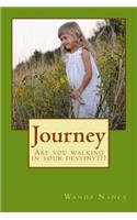 Journey: Are You Walking In Your Destiny(English)