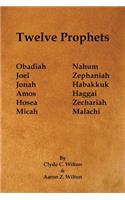 Twelve Prophets