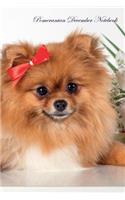Pomeranian December Notebook Pomeranian Record, Log, Diary, Special Memories, To Do List, Academic Notepad, Scrapbook & More