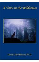Voice in the Wilderness