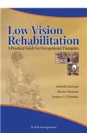 Low Vision Rehabilitation: A Practical Guide for Occupational Therapists