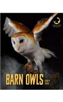 Barn Owls: (Creatures of the Night)