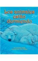 Los Animales Están Durmiendo (Animals Are Sleeping)