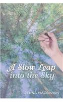 A Slow Leap into the Sky