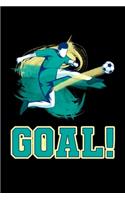 Soccer Goal!