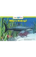 Who's Hiding?