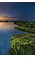Ocean Moss Notebook: Blank Journal Diary Memoir Log Logue(27 Go Green 150 Lined)