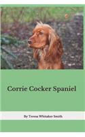 Corrie Cocker Spaniel