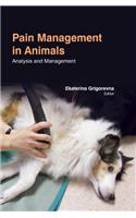Pain Management in Animals: Analysis and Management