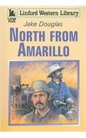 North from Amarillo
