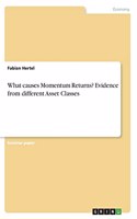 What causes Momentum Returns? Evidence from different Asset Classes