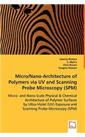 Micro/Nano-Architecture of Polymers