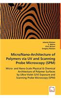 Micro/Nano-Architecture of Polymers