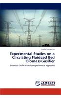 Experimental Studies on a Circulating Fluidized Bed Biomass Gasifier
