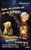 Komm, wir schauen mal, wer wo schlaft - Das Kuschelbuch fur kleine Betthupfer zur guten Nacht - Eine Reise durch die Nacht im Wald fur Traumer ab 3 Jahren