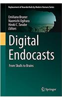 Digital Endocasts