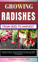 Growing Radishes from Seed to Harvest