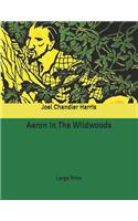 Aaron In The Wildwoods: Large Print