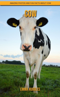 Cow: Amazing Photos and Fun Facts about Cow