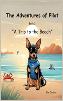 Adventures of Pilot
