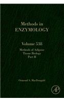 Methods of Adipose Tissue Biology Part B