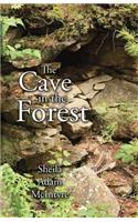 The Cave in the Forest