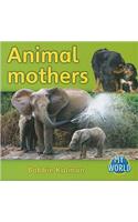 Animal mothers: (My World)