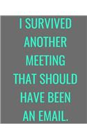 I Survived Another Meeting That Should Have Been An Email.: Funny Notebook Journal