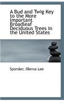 A Bud and Twig Key to the More Important Broadleaf Deciduous Trees in the United States