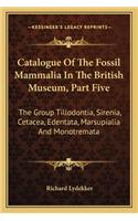 Catalogue of the Fossil Mammalia in the British Museum, Part Five