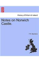 Notes on Norwich Castle.: (English)