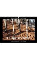 Feuilles et Arbres 2017