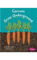 Carrots Grow Underground