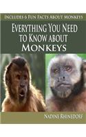 Everything You need To Know About Monkeys