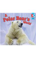 Polar Bear's World