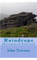 Raindrops (Annotated Edition)