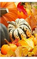 Journal Fall Theme Decorations Pumpkin Gourds Leaves