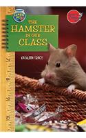 The Hamster in Our Class