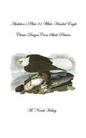 Audubon's Plate 31 White-Headed Eagle Cross Stitch Pattern