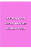 I SURVIVED ANOTHER MEETING THAT SHOULD HAVE BEEN AN EMAIL Notebook